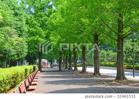 埼玉縣朝霞市朝霞中央公園 32461531