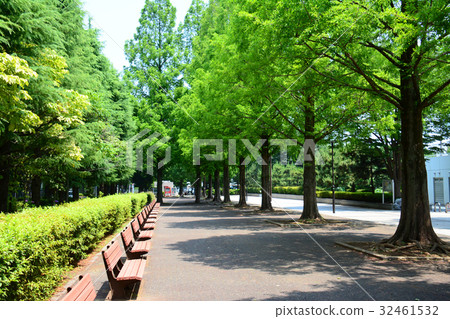 埼玉縣朝霞市朝霞中央公園 32461532