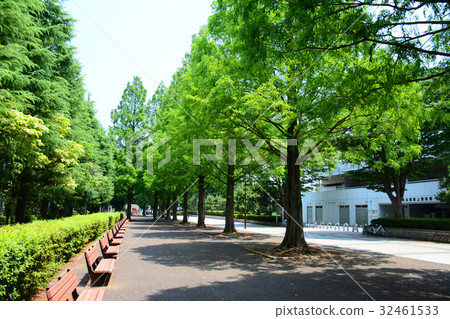 埼玉縣朝霞市朝霞中央公園 埼玉縣朝霞市朝霞中央公園 32461533