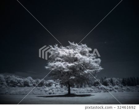 紅外景觀 紅外景觀 32461692