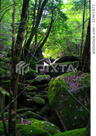 一個滑動的山谷 32461973