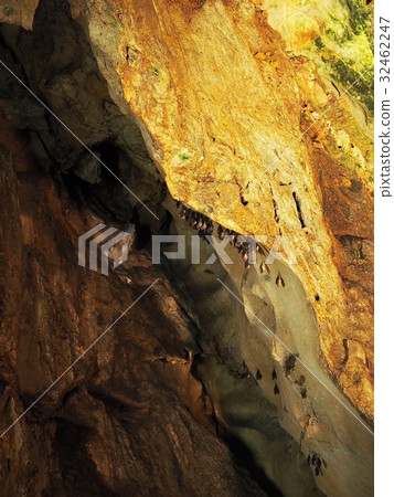 越金石灰岩洞，一群蝙蝠 32462247