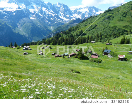 Flower Valley Blumenthal 32462338