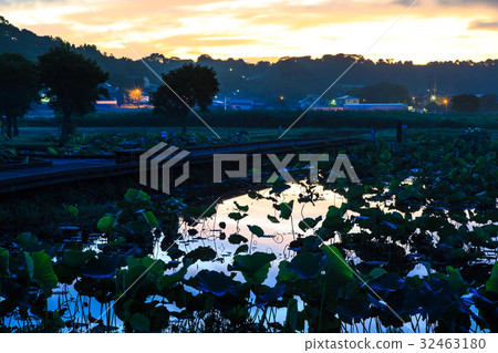 Dawn of Tanba Hasuen Nagasaki Dawn of Tanba Hasuen Nagasaki 32463180