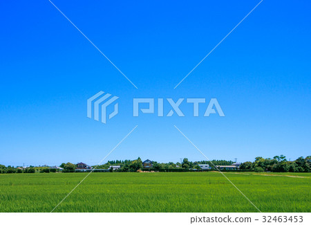 Rural scenery of Chosei village in Chiba prefecture Rural scenery of Chosei village in Chiba prefecture 32463453