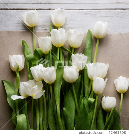 Blossom flower decorative tenderness fresh Blossom flower decorative tenderness fresh 32463808