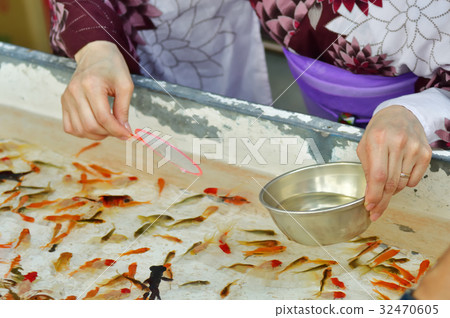 金魚在浴衣中舀 32470605