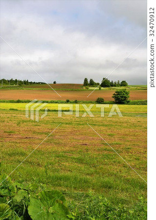 Biei Mild Seven Hill Biei Mild Seven Hill 32470912