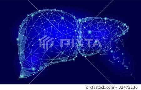 Treatment regeneration decay Human Liver Internal 32472136