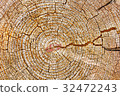 Stump 32472243