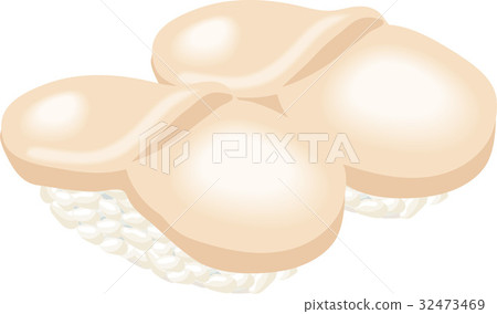Illustration of scallop sushi | handful sushi Illustration of scallop sushi | handful sushi 32473469