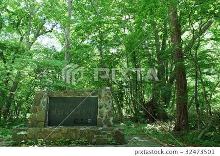 Nopporo森林公園大澤口 32473501