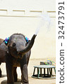 Small elephant 32473791