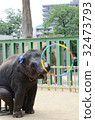 Small elephant 32473793