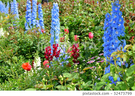 Nationwide Urban Greenery Yokohama Fair · Yamashita Park Hall 32473799