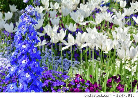 全國城市綠化橫濱交易會·山下公園大廳 32473915