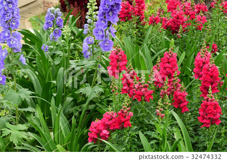 Nationwide Urban Greenery Yokohama Fair · Japan Boulevard Site 32474332