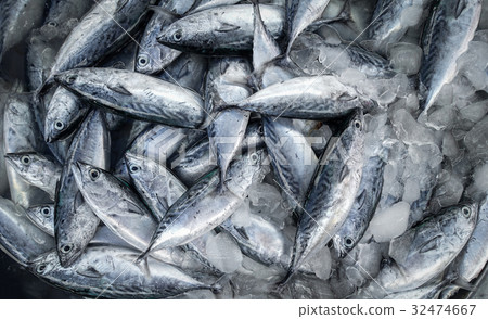 raw fish for sell raw fish for sell 32474667