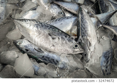 raw fish for sell raw fish for sell 32474672