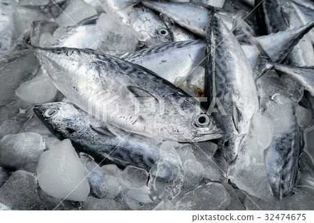 raw fish for sell raw fish for sell 32474675