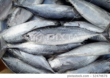 raw fish for sell raw fish for sell 32474678