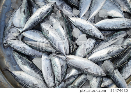 raw fish for sell 32474680