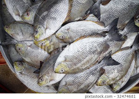 raw fish for sell raw fish for sell 32474681
