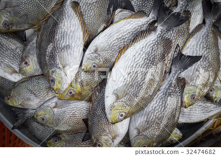 raw fish for sell raw fish for sell 32474682