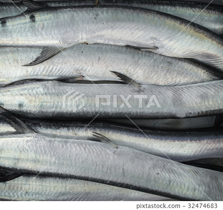 raw fish for sell raw fish for sell 32474683