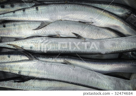 raw fish for sell raw fish for sell 32474684