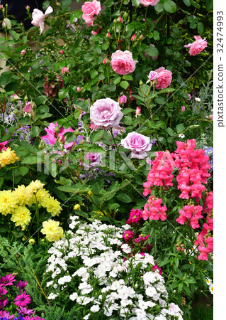 Nationwide Urban Greenery Yokohama Fair · Japan Boulevard Site Nationwide Urban Greenery Yokohama Fair · Japan Boulevard Site 32474993