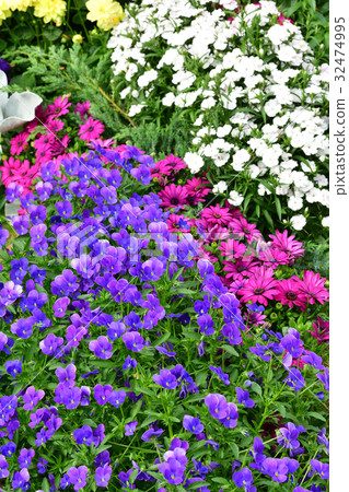 Nationwide Urban Greenery Yokohama Fair · Japan Boulevard Site Nationwide Urban Greenery Yokohama Fair · Japan Boulevard Site 32474995
