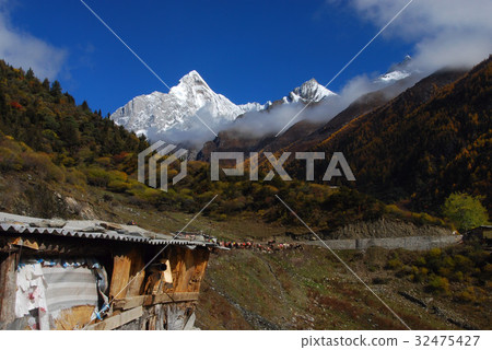 Four girls in autumn 32475427