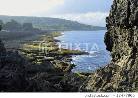 陰影裡看見陽光 Light 32477906