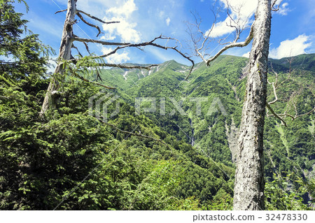 樹木和聖石 32478330