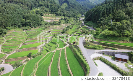 Fukuoka Prefecture Ukiha City's spelling rice terrace 32478418