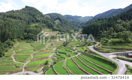 福岡縣浮世市的拼寫水稻梯田 32478419