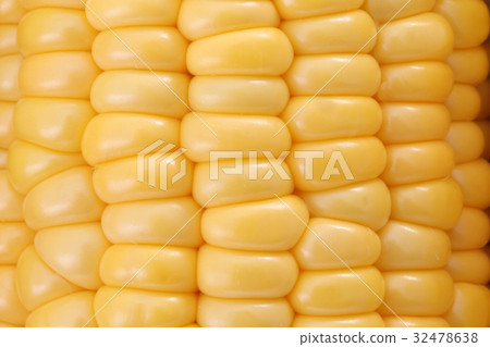 玉米 32478638