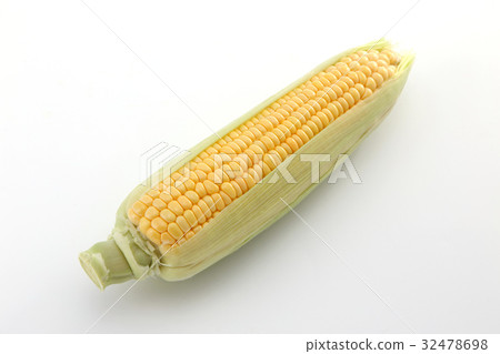 玉米 32478698