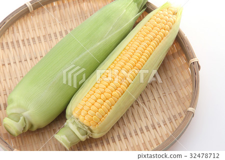 玉米 玉米 32478712