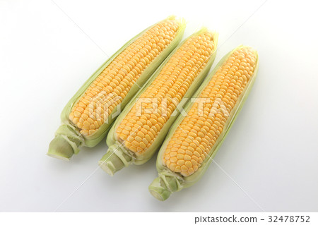 corn corn 32478752