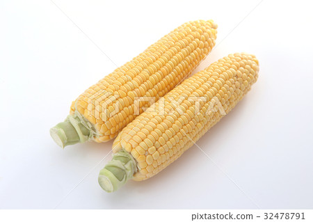 corn  32478791