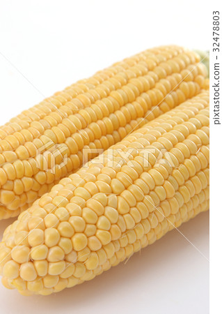 玉米 玉米 32478803
