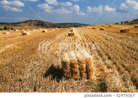 Bales of starw in a field against a blue sky Bales of starw in a field against a blue sky 32479167