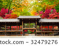 Corridor of the autumn leaves in Kyoto and coloring trees 32479276