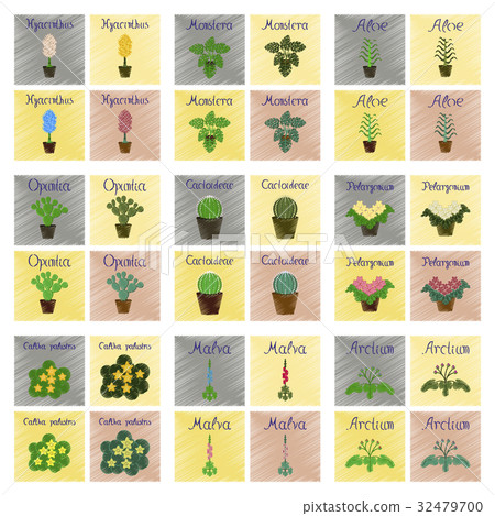 assembly flat shading style Illustrations Arctium assembly flat shading style Illustrations Arctium 32479700