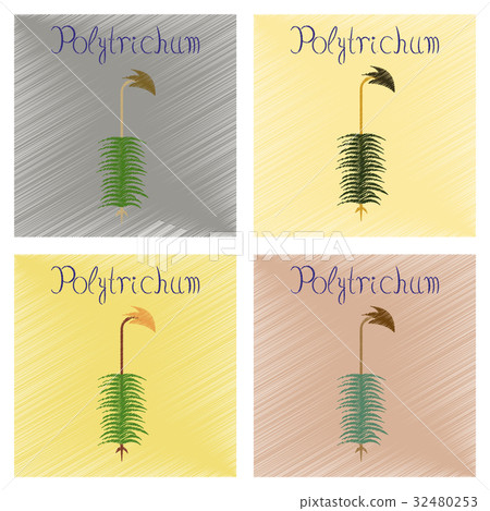 assembly flat shading style icon nature plant assembly flat shading style icon nature plant 32480253