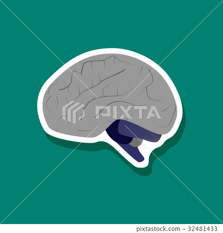 brain paper sticker on stylish background-插圖素材 [32481433] - PIXTA圖庫