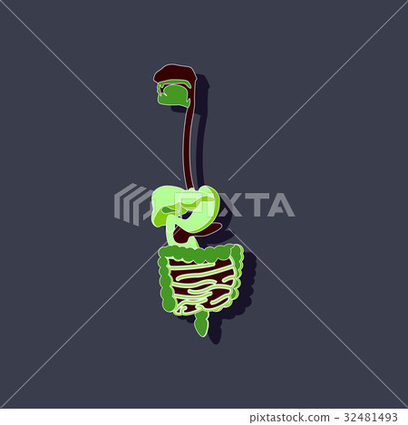 digestive system paper sticker on stylish - Stock Illustration ...