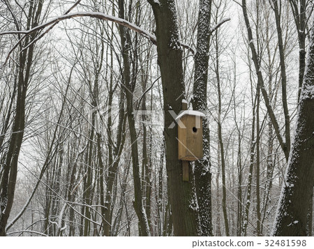Birdhouse in winter 32481598